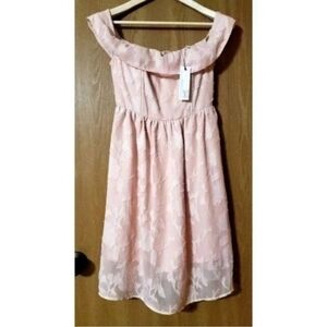 Blush Pink Cupcakes and Cashmere lace dress